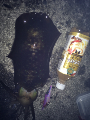 時合いにぱたぱた