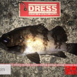 プラグ中心にキャスト