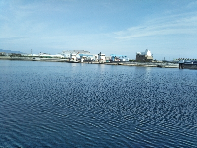 早起きしても沢山釣れず