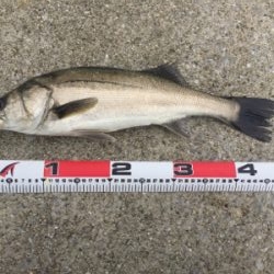 雨上がりの昼下がり