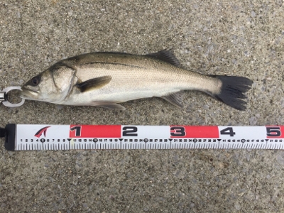 雨上がりの昼下がり