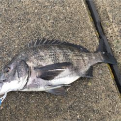 雨が降るなか釣りに行きました