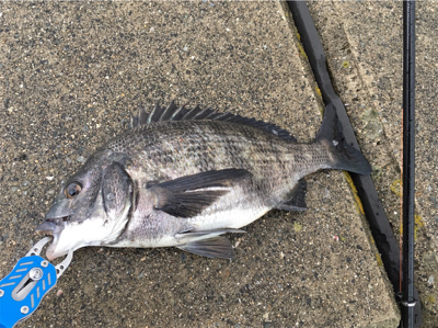 雨が降るなか釣りに行きました