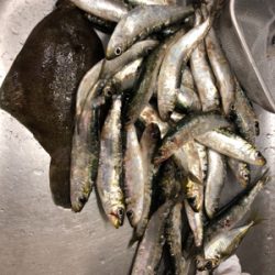 とっとぱーくパワー