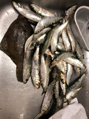 とっとぱーくパワー