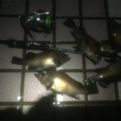 ワークメバリングバランス