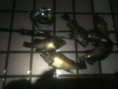 ワークメバリングバランス