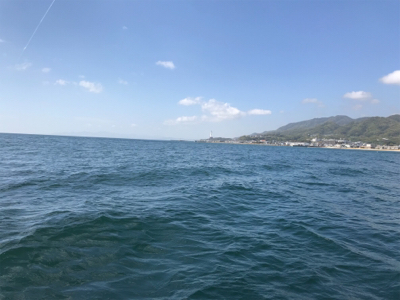 鯛サビキ  魚英