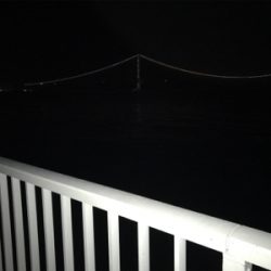 久々のメバルリング釣果