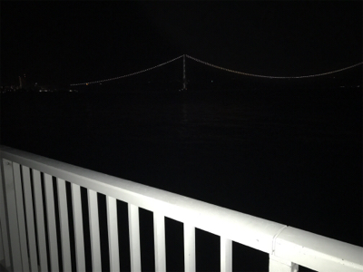 久々のメバルリング釣果