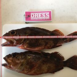 ナイスガッシー♪