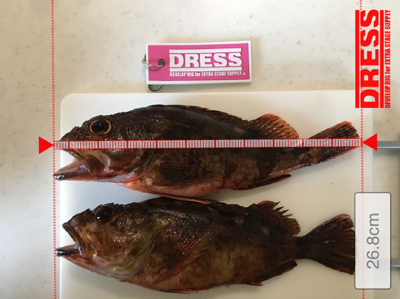 ナイスガッシー♪