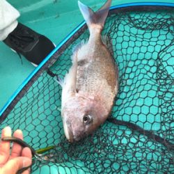 スロージギング