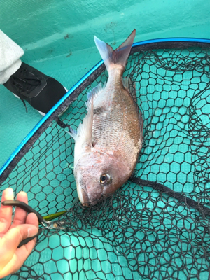 スロージギング