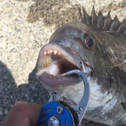 今日は暑いですね〜