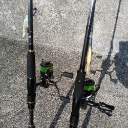 神戸湾奥デイゲームシーバス