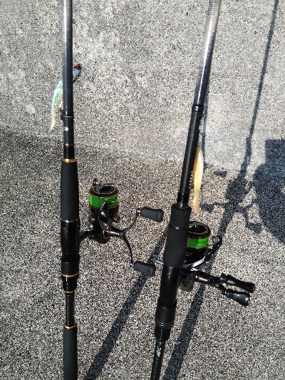 神戸湾奥デイゲームシーバス