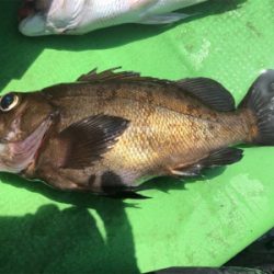 第14回九十九里魚協春の沖釣り大会