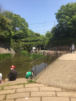 近所の池