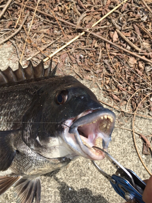 ランガンしたけど、、。