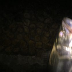 石津川シーバス