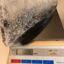 お昼からラン岸、エギング