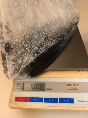 お昼からラン岸、エギング