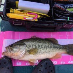 社内対抗バス釣り大会