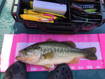 社内対抗バス釣り大会