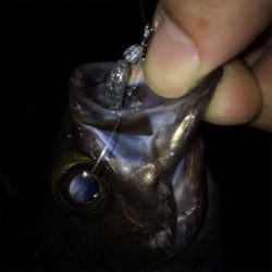 なんとかメバル