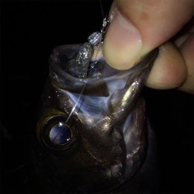 なんとかメバル