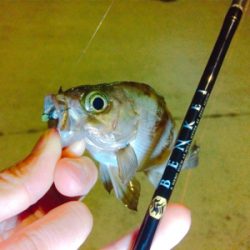 ライトゲームもバチパターン