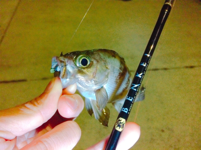 ライトゲームもバチパターン