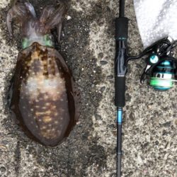 5時ぐらいから1時間