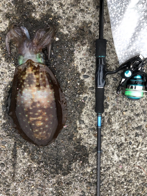 5時ぐらいから1時間