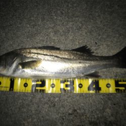 四日市港周辺運河