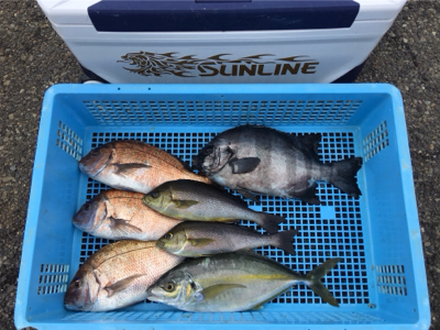 釣堀丸長さんにて