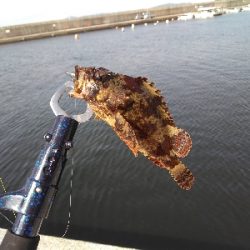 須磨海浜でのルアー探索