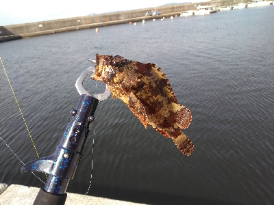 須磨海浜でのルアー探索