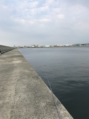 メバル が食べたくて