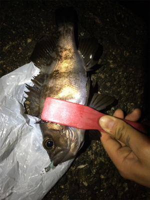 楽々20アップメバリング