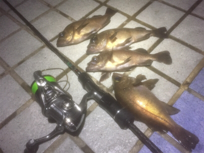 釣れれば牛乳パックサイズ！