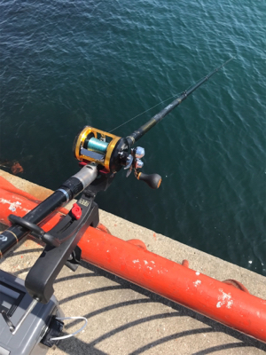 今年第1号（≧∇≦）