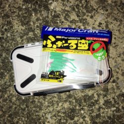 メバルダメシーバス活性高し