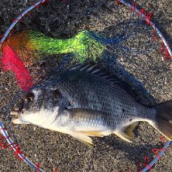 暖かくなり釣り日和