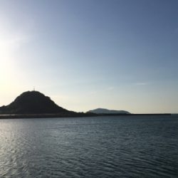 青物ねらいで・・・