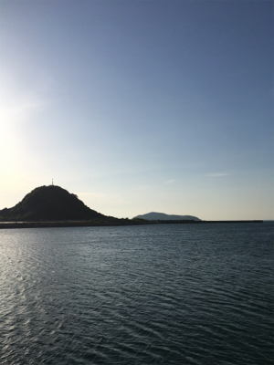 青物ねらいで・・・