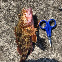 ゴールデンウィーク初日