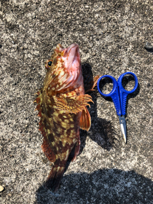 ゴールデンウィーク初日