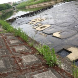 カープフィッシング